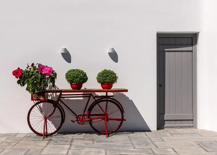 Sara Mykonos Psarrou